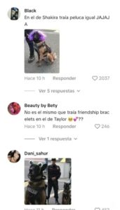 Killer perro policía