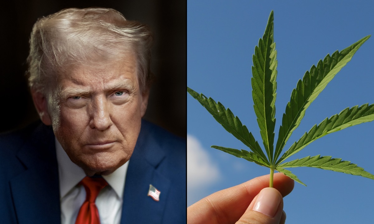 Trump reclasifica la marihuana
