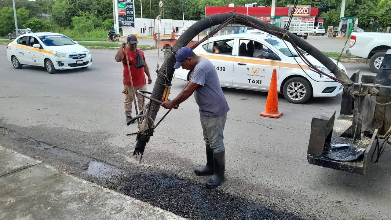 Baches en Chetumal