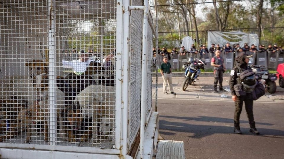 Desalojo del Refugio Franciscano