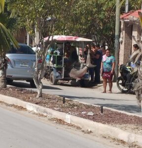 tiburón en la ría de Celestún 
