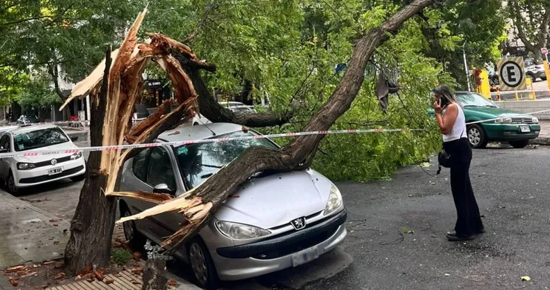 Temporal en el Mar del Plata provoca destrozos, caída de árboles y evacuación de playas en plena