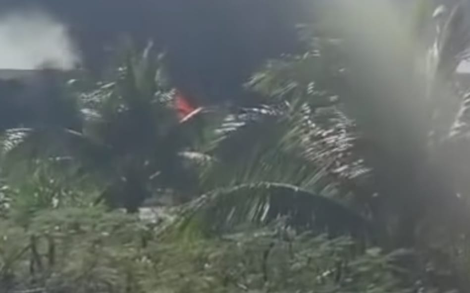 Incendio consume varias palapas en Tulum en este primer día de 2026