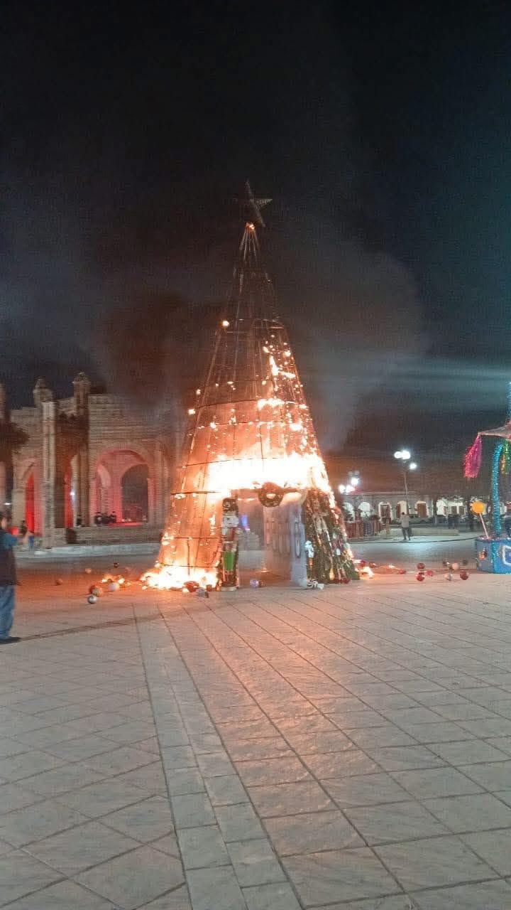 Se quema arbol en Chiapas