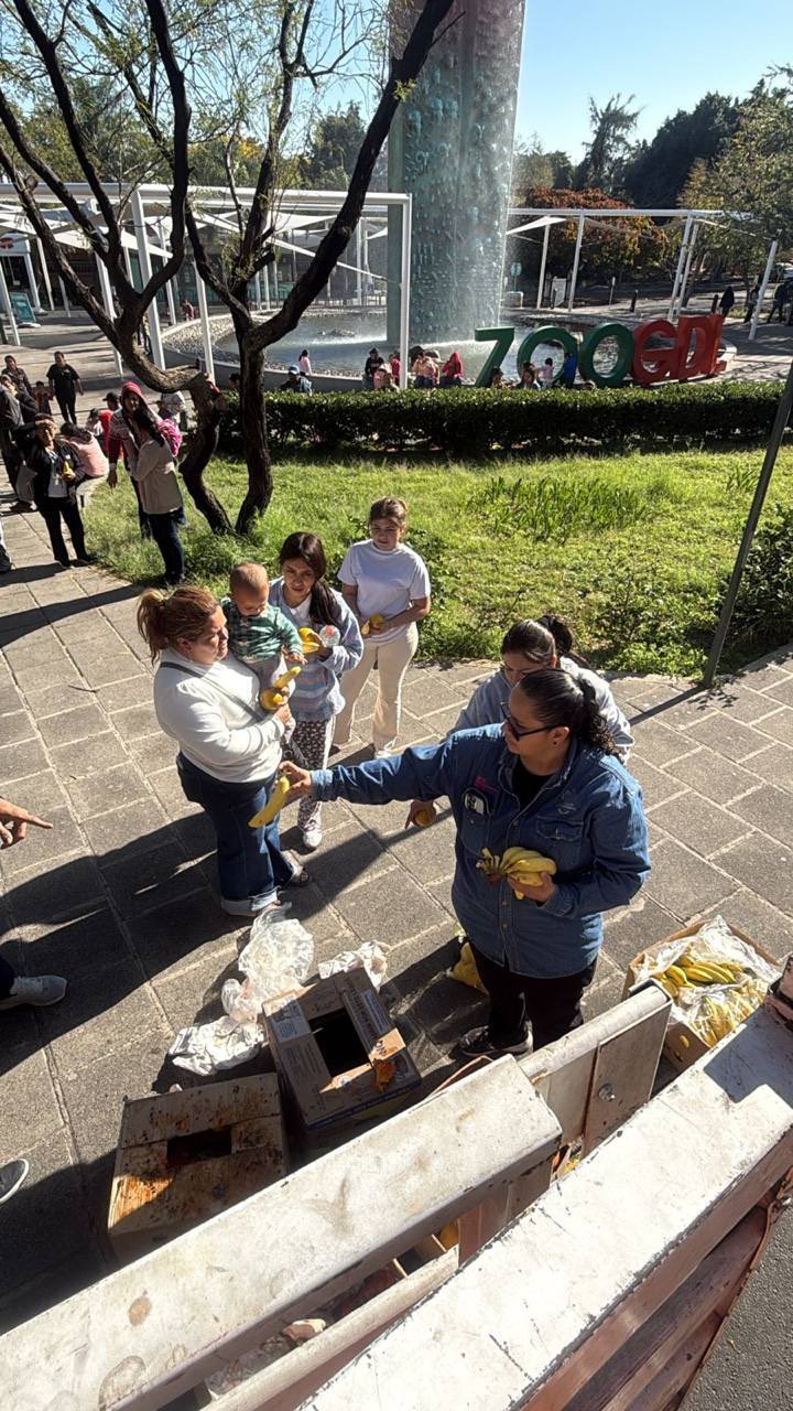 Más de mil turistas pasan la noche en el Zoológico de Guadalajara tras bloqueos en Jalisco