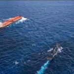 Estados Unidos intercepta petrolero Veronica III en océano Índico por violar bloqueo marítimo a crudo venezolano