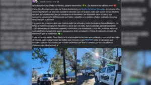 Denuncian aves atrapadas en redes de plaza comercial en Durango