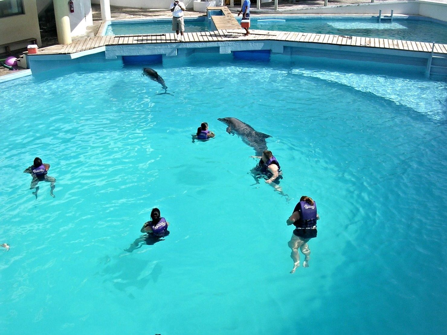 congelamiento de cuentas de Dolphin Discovery