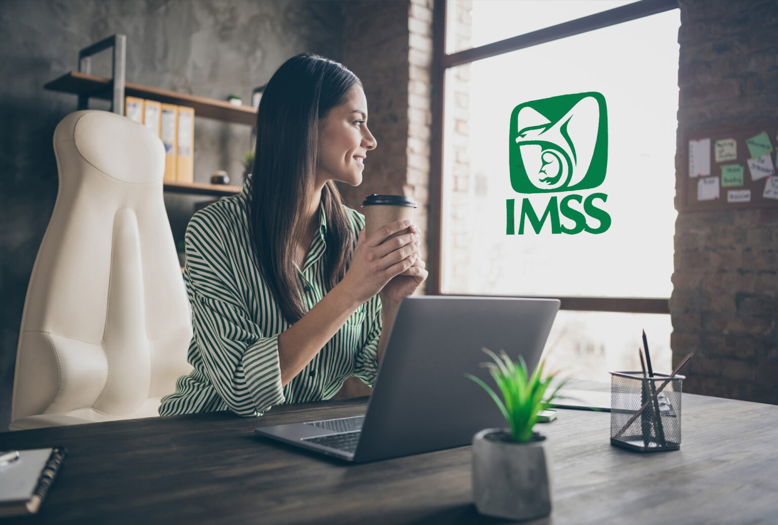 Trabajador independiente IMSS