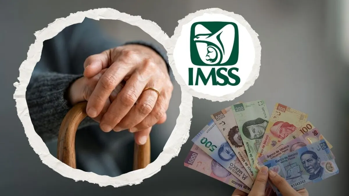 pensión de viudez del IMSS