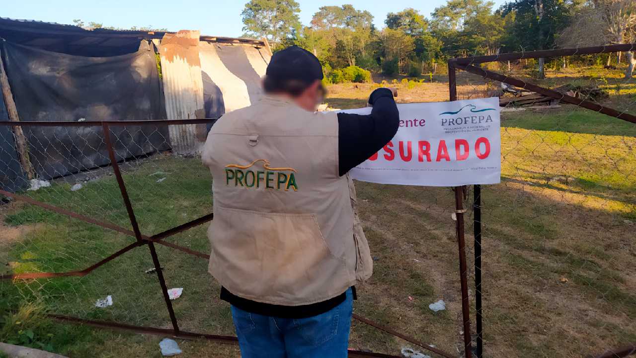 Profepa clausura cinco predios