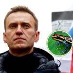 Reino Unido denuncia uso de toxina de rana dardo contra opositor ruso