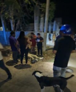 Motociclista resulta lesionado tras chocar contra un automóvil en Tulum