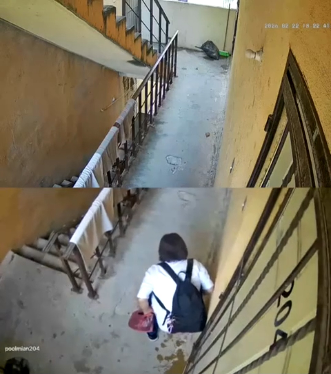 Captan a presunto therian en Cancún haciendo sus necesidades afuera de un departamento