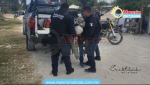Detienen a dos personas por ataque armado en la Supermanzana 247 de Cancún