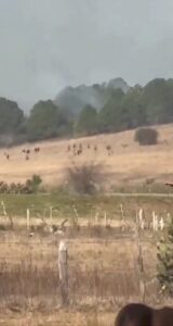 Ejército abatió a Nemesio Rubén “N” Mencho en Tapalpa; murieron siete integrantes del CJNG