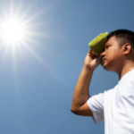 Calor extremo podría volver inhabitables regiones tropicales antes de lo previsto