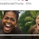 Trump publica video que representa a Barack y Michelle Obama como una pareja de monos