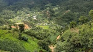 Maestra revela más de 20 casos de sarampión en Río Encajonado