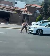 Murió Hortensia tras lanzarse contra un auto en Monterrey y reavivó debate sobre salud mental