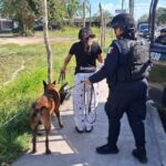 Perro policía detecta droga en mochila de adolescente en Chetumal