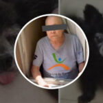 Acusada de envenenar perros en Coyoacán enfrentará proceso fuera de prisión