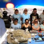 Ocho detenidos por narcotráfico incluyen a familiar de delegada veracruzana