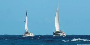 Veleros que salieron de Isla Mujeres llegaron a Cuba sanos y salvos