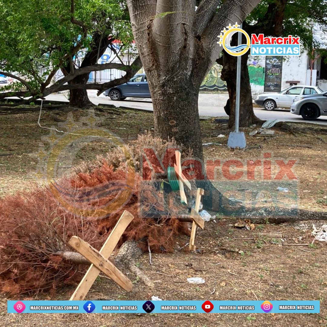 Desechos navideños en Cancún