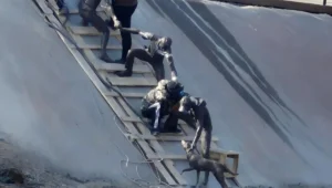 Honran con estatua un rescate animal ocurrido hace 10 años en Kazajistán