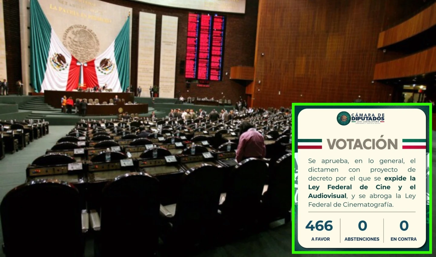 Nueva Ley Federal de Cine y el Audiovisual