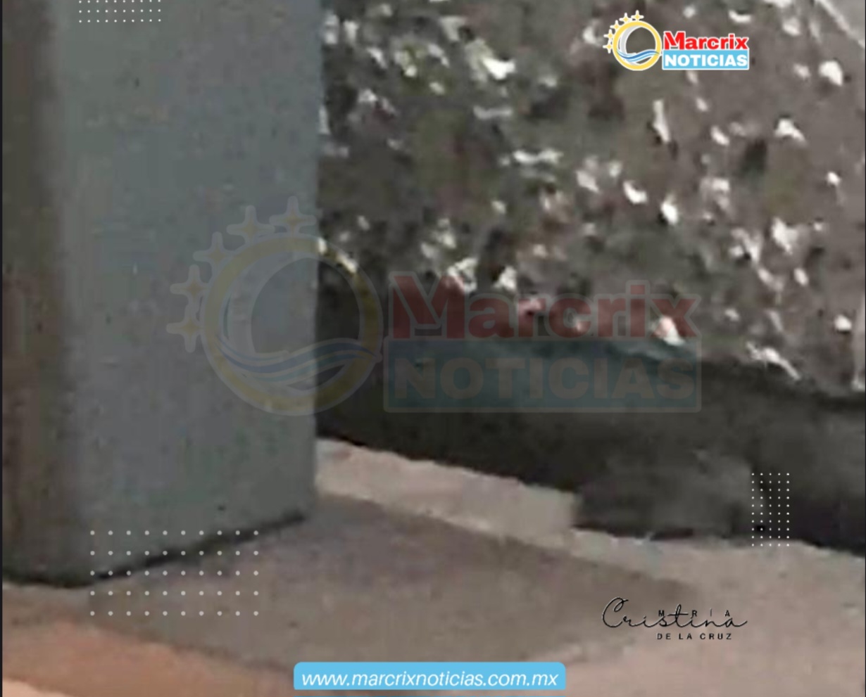 Denuncian presencia de ratas en el hospital IMSS Cancún en clínica de Gineco