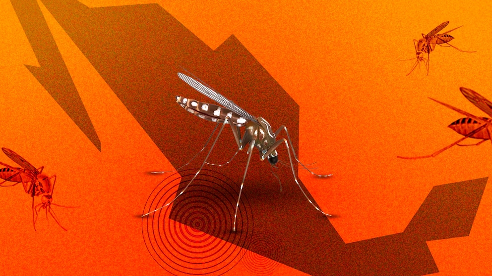 casos de dengue en México