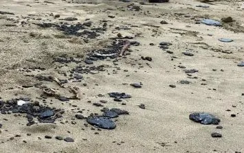 Chapopote en playas de Veracruz y Tabasco amenaza el medio ambiente y la economía local