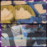 Aseguraron 625 kilos de metanfetamina oculta en aceite de coco en Madrid