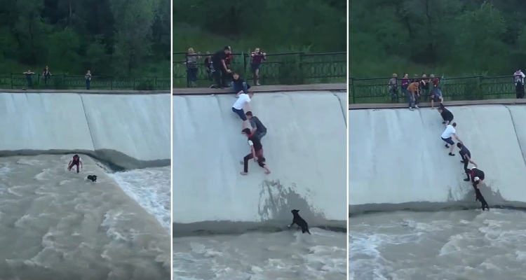 Honran con estatua un rescate animal ocurrido hace 10 años en Kazajistán