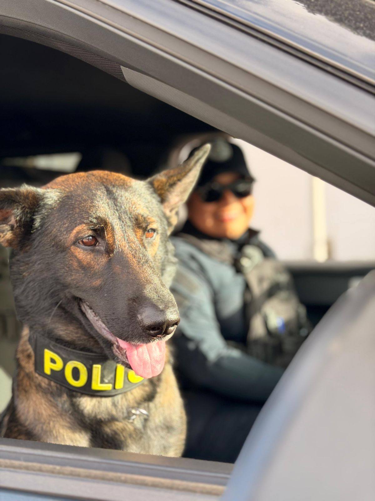 Operativo en Playa del Carmen