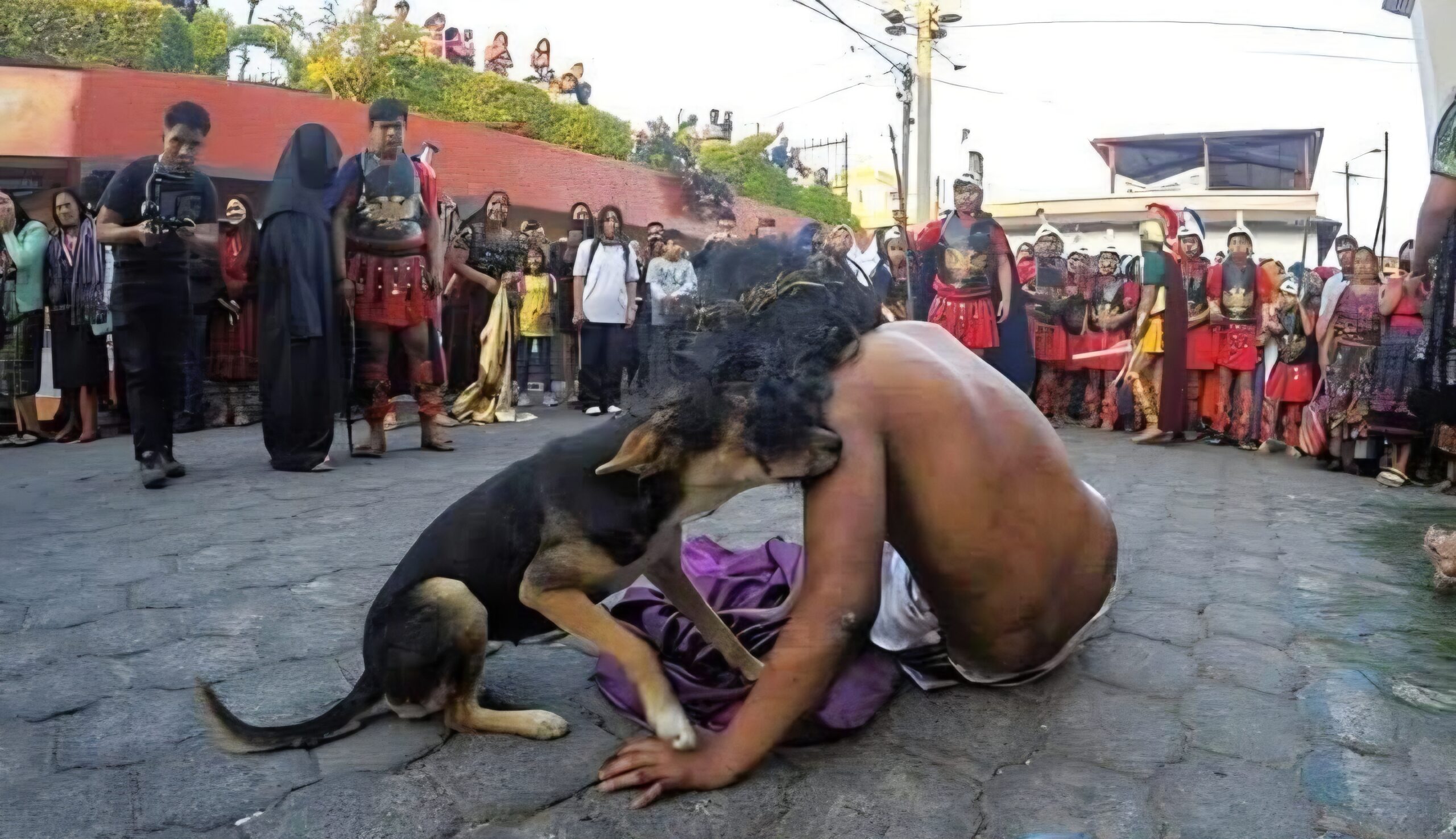 Perrito en el viacrucis conmueve a las redes sociales