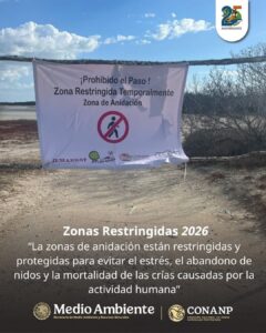 Autoridades de Celestún refuerzan restricciones para proteger zonas de anidación de flamencos