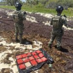 Recala droga en Mahahual y Marina asegura 15 paquetes de presunta marihuana