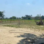 Particulares fraccionan y venden lotes del estado en Villahermosa, Tabasco