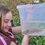 Una niña de 10 años salva a un ajolote mexicano hallado herido en un río de Gales