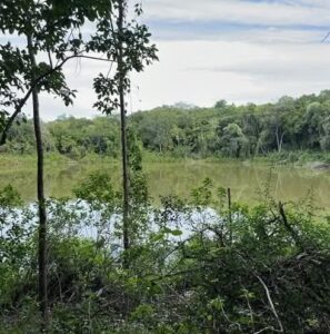 Mueren dos niñas y un adulto mayor en aguada de Tekal de Venegas