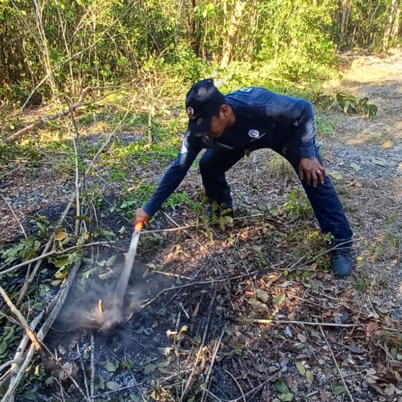 Bomberos de Isla Mujeres sofocan incendio forestal en Francisco May