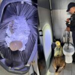 Encuentran droga escondida en baño de terminal de ADO en Tulum