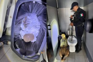 Encuentran droga escondida en baño de terminal de ADO en Tulum