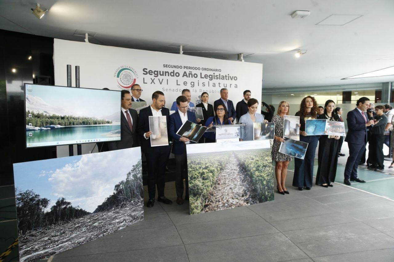 Senadores del PAN piden frenar al Tren Maya por riesgos, pérdidas y posible daño ambiental en el sureste mexicano.