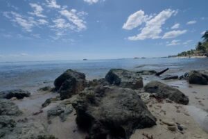 Ambientalistas alertan sobre erosión de playas en Playa del Carmen y urgen recuperar seis kilómetros de litoral