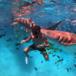 Ataque de tiburón en Maldivas deja a médico sin pierna durante su luna de miel