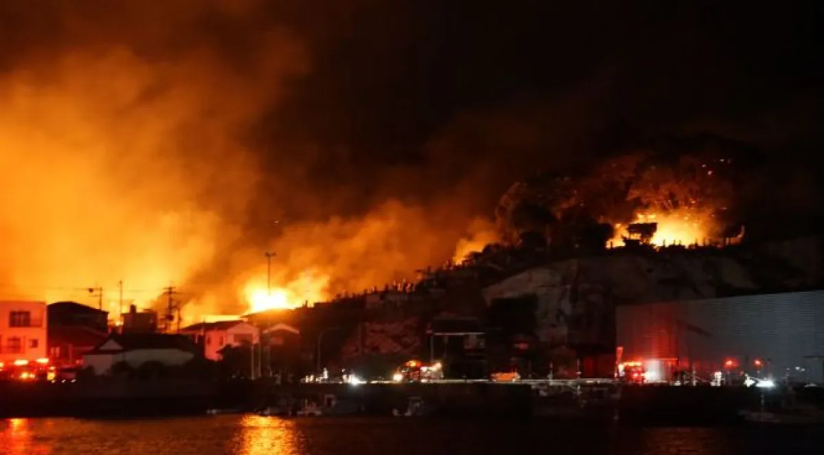 Incendio forestal en Japón
